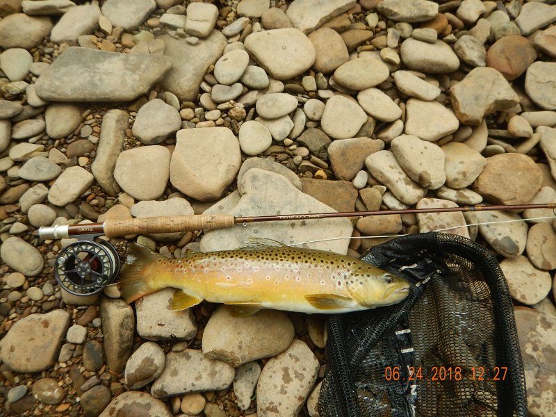 -Kettle Valley-086-.jpg - Snother pic of the same fish.